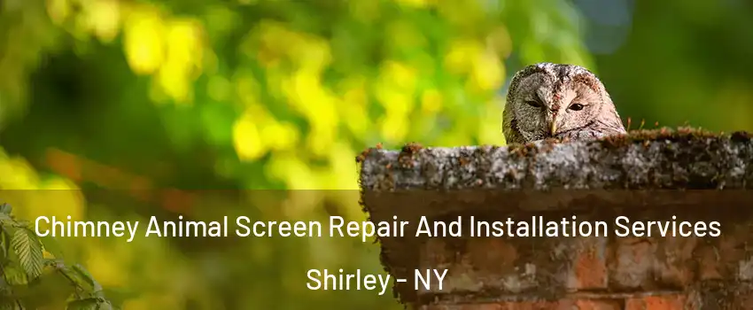  Chimney Animal Screen Repair And Installation Services Shirley - NY