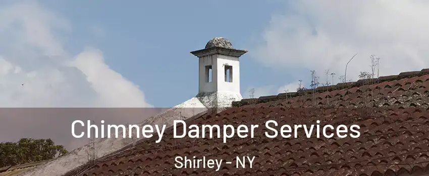  Chimney Damper Services Shirley - NY