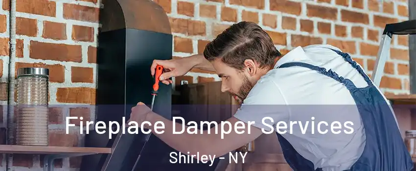  Fireplace Damper Services Shirley - NY