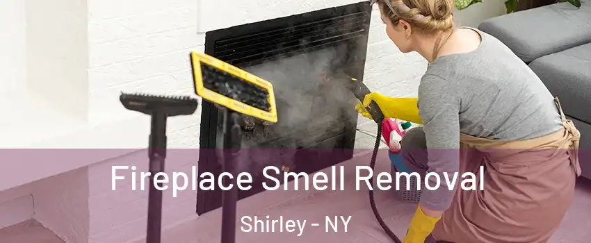  Fireplace Smell Removal Shirley - NY