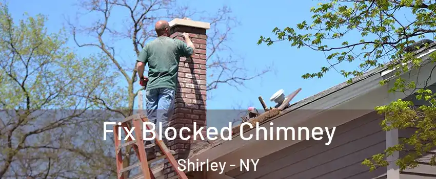  Fix Blocked Chimney Shirley - NY