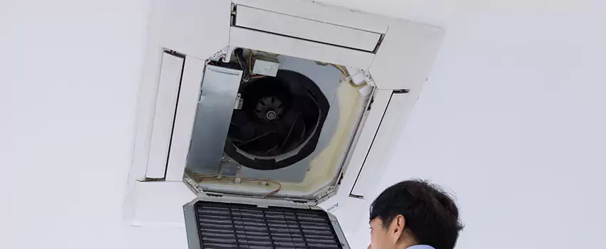 Benefits of Professional Air Duct Cleaning in Shirley, New York