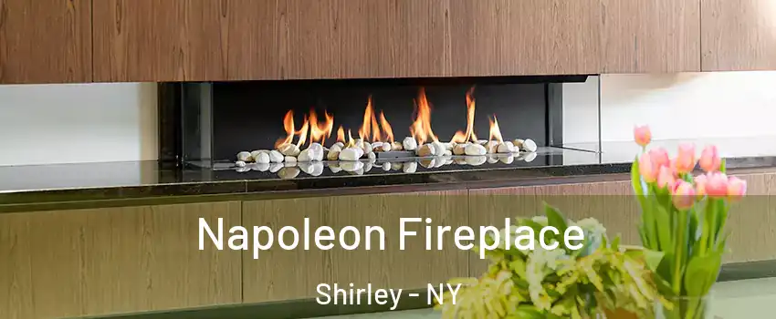  Napoleon Fireplace Shirley - NY