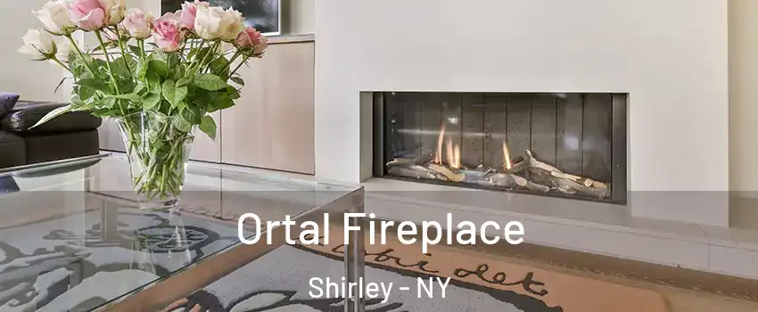  Ortal Fireplace Shirley - NY